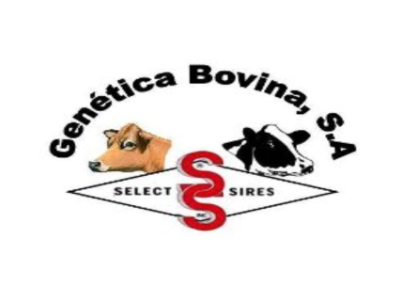 Genetica Bovina