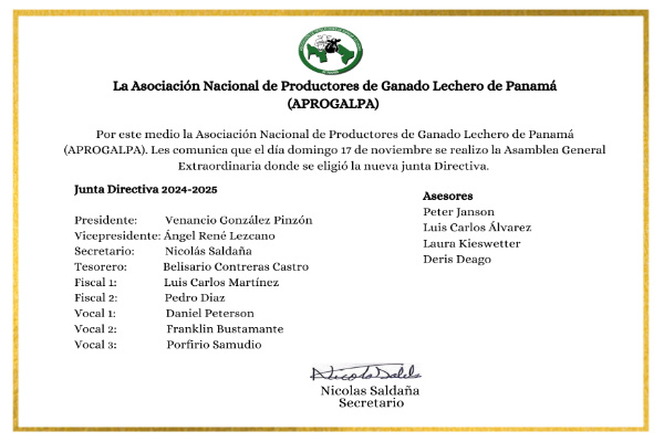 Junta Directiva 2024-2025